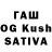 Каннабис OG Kush dildora karakulova