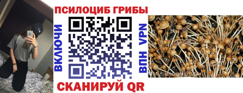 Галлюциногенные грибы Cubensis  Чаплыгин 